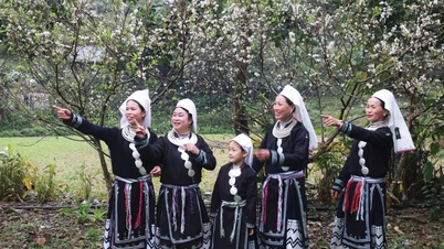 Verknüpfung der Erhaltung und Förderung traditioneller Kulturwerte mit der sozioökonomischen Entwicklung – Cao Bang Online-Zeitung