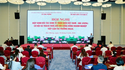Hai Phong işletmeleri küresel Helal pazarından fırsatlar arıyor.