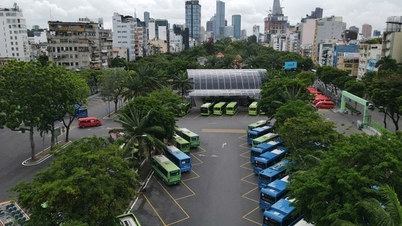 Free tickets on 134 bus routes from 1-7: Full Q&A