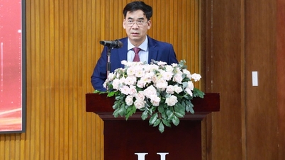 Dr. Le Truong Son juga menjabat sebagai Sekretaris Komite Partai Universitas Hukum Kota Ho Chi Minh.