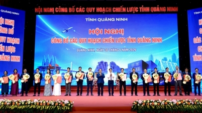 ការរំពឹងទុកសម្រាប់របកគំហើញដែលកើតចេញពីការធ្វើផែនការយុទ្ធសាស្ត្រ។