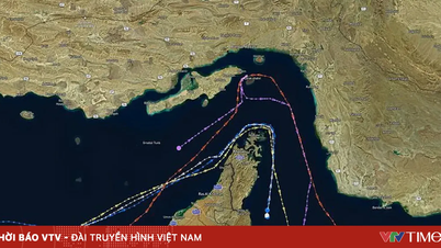 ホルムズ海峡を通過する船舶の交通量はわずかに減少した。