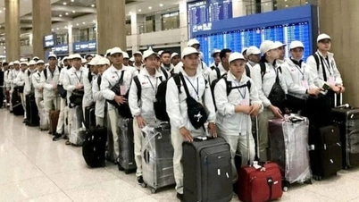 Garantizar la seguridad de casi 2.500 trabajadores vietnamitas en Oriente Medio.