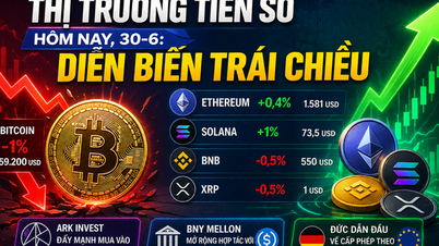 Cryptovalutamarkt vandaag, 30 juni: Gemengde trends