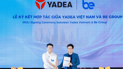 Die Be Group kooperiert mit YADEA Vietnam, um das Fahrzeugangebot zu erweitern und so dem Wachstum ihrer Partner im Bereich zweirädriger Fahrzeuge gerecht zu werden.