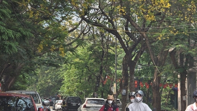 Un système de basse pression pourrait se transformer en tempête au-dessus de la mer de Chine méridionale.