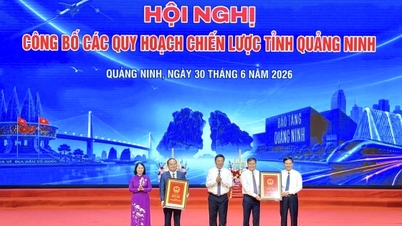 Quang Ninh annonce un plan stratégique et attribue 18 projets d'investissement.