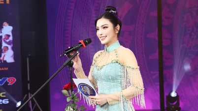 Vietnamesisches Ao Dai: Ein künstlerischer Beitrag zur Reise von Kim Huyen Sam.