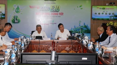 সবুজ শক্তিতে রূপান্তরের রোডম্যাপের জন্য E10 গ্যাসোলিন একটি আশাব্যঞ্জক সূচনা।