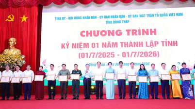 Dong Thap: Keskeinen kasvukeskus Mekongin suiston alueella.