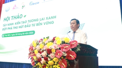 Tay Ninh: ایک سبز مستقبل کی تشکیل - پائیدار سرمایہ کاری کو راغب کرنے میں ایک پیش رفت