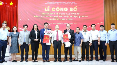 Le Dr Le Truong Son occupe le poste de secrétaire du comité du Parti de l'université de droit de Hô Chi Minh-Ville.