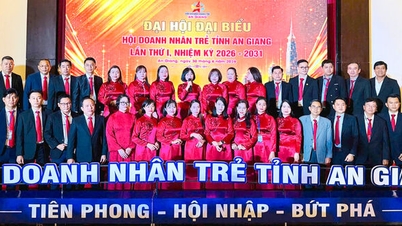 Bà Nguyễn Thị Mỹ Linh giữ chức Chủ tịch Hội Doanh nhân trẻ tỉnh An Giang