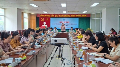 Jawatankuasa Eksekutif Kesatuan Wanita Bandar Hanoi, penggal ke-17, telah mengadakan mesyuarat ke-3.
