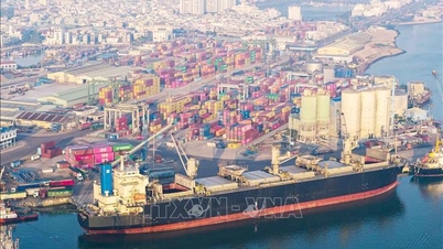 Gia Lai – Trois strates spatiales, de multiples moteurs de croissance – Dernière partie : Création d’un nouveau modèle de croissance