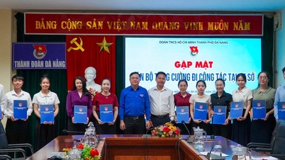 Da Nang City Youth Union vil styrke staben sin på grasrotnivå fra 1. juli.