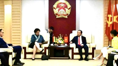 Vietnam dan Jerman sedang memperkukuh kerjasama dalam semikonduktor dan membangunkan sumber manusia berteknologi tinggi.