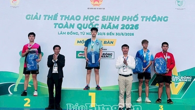 Hung Yen memenangkan 29 medali di Pekan Olahraga Sekolah Menengah Nasional tahun 2026.