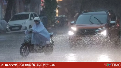 Nordul Vietnamului continuă să se confrunte cu precipitații abundente, în unele zone cad peste 250 mm, iar nivelul râurilor ar putea crește cu până la 4 m.