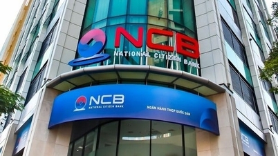 NCB швидко збільшує свій капітал майже до 30 000 мільярдів донгів, перевершуючи Sacombank та TPbank і зрівнюючись з LPBank.