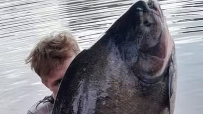 Des pêcheurs ont capturé dans la rivière un poisson géant pesant plus de 40 kg.
