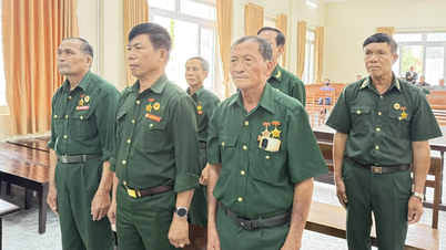Provincia di Lam Dong - Quando verrà risolta l'ingiustizia subita da sei veterani che hanno disboscato terreni per la riforestazione?