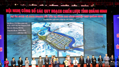 Quang Ninh mengalu-alukan gelombang pelaburan hampir 45,000 bilion VND berdasarkan perancangan strategik.