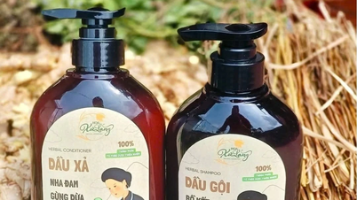 Penarikan balik dua produk syampu dan perapi 'buatan Vietnam' di seluruh negara.