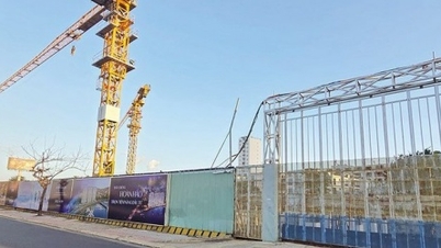 Společnost NRC chce prodat veškerý svůj podíl v průmyslovém parku Thuan An za minimální cenu 152 miliard VND.