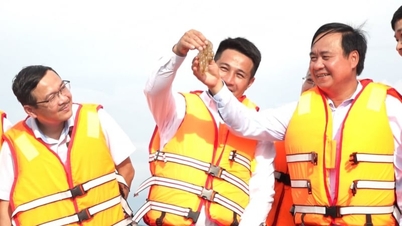 Dari Co ke Pulau, cara berfikir baharu tentang ekonomi akuakultur marin bermula.
