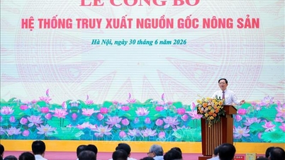 Die wichtigsten Wirtschaftsnachrichten aus Vietnam vom 30. Juni 2026