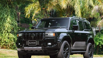 Toyota retira del mercado el Land Cruiser Prado en Vietnam debido a un defecto en el reloj del tablero.