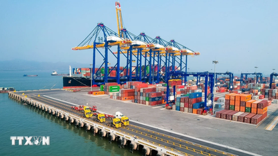 Debitul de marfă în portul Hai Phong a crescut cu peste 11%, primind o super-navă de aproape 214.000 DWT.