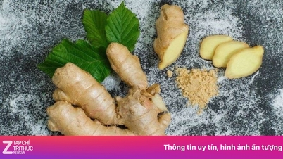 6 полезных свойств имбиря для здоровья