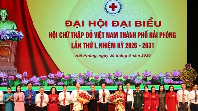 A Sociedade da Cruz Vermelha de Hai Phong mobilizou quase 635 bilhões de VND para atividades humanitárias.