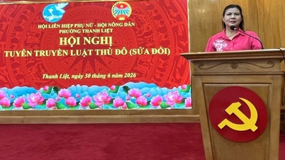 Thanh Liet Ward: Verbreitung von Informationen über das geänderte Hauptstadtgesetz, Schaffung von Dynamik zur Verbesserung der Effektivität der Arbeit der Frauenunion.