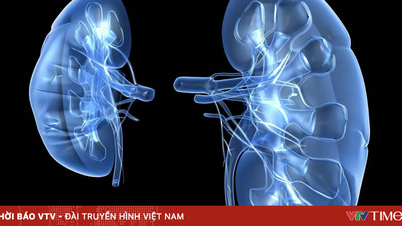 Infographic: Làm gì để giảm tình trạng tiểu đêm?