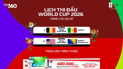 2026년 월드컵 경기 일정 및 VTV 생중계는 7월 2일에 방송됩니다.