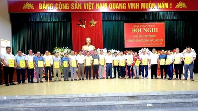En "superkommune" med over 70.000 indbyggere i Thanh Hoa-provinsen opstår efter fusion og reorganisering, hvilket afslører en række landsbyhøvdinge i 20'erne, der påtager sig landsbyansvar for første gang.