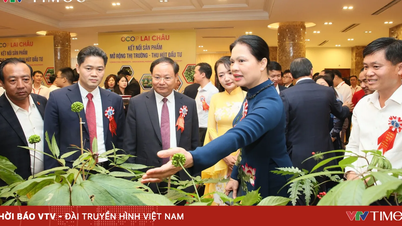 OCOP Lai Chau: From highland specialties to opportunities for attracting investment