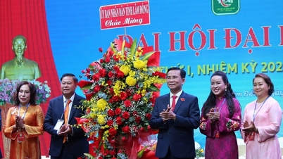 Kongress der Lam Dong Business Association: Innovation für Entwicklung, Zusammenarbeit für Wohlstand