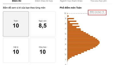 Slå dine resultater fra din gymnasieeksamen i 2026 op.