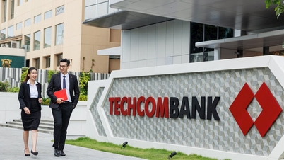 انسپکٹرز نے Techcombank Binh Thuan سے موجودہ کوتاہیوں اور حدود کو دور کرنے اور ان کو دور کرنے کی درخواست کی ہے۔