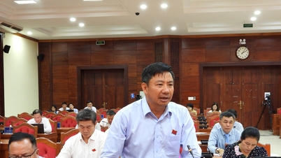 Dewan Rakyat Provinsi Dak Lak: Membahas solusi terobosan untuk mewujudkan target pertumbuhan dua digit.