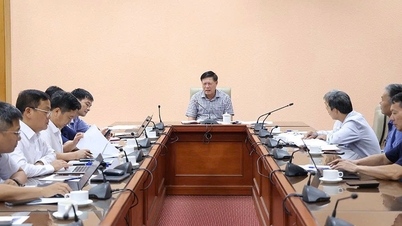 Elaborar reglamentos para la organización y el funcionamiento del Hospital Ortopédico y de Rehabilitación de Da Nang que se ajusten al plan del Ministerio de Salud.