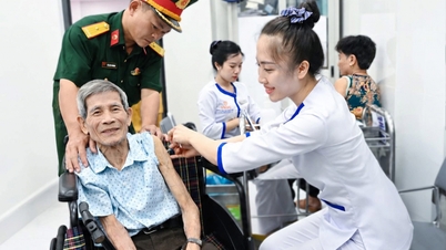 Ho Chi Minh City tukee haavoittuvassa asemassa olevia ryhmiä hallinnollisten menettelyjen hoitamisessa kotoa käsin.