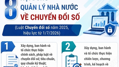 Åtte områder innen statlig forvaltning angående digital transformasjon fra 1. juli 2026.