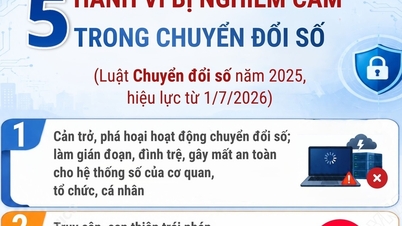 5 atferder som er strengt forbudt i digital transformasjon fra 1. juli 2026