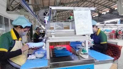Vĩnh Long ghi nhận 234 sáng kiến mang lại giá trị làm lợi khoảng 27 tỉ đồng