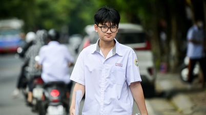 In de top 10 van provincies met de hoogste scores voor het wiskunde-examen dat in 2026 werd afgenomen, staat Ninh Binh aan kop.